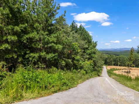 0 Moore Mountain Lane Ellenboro NC 28040