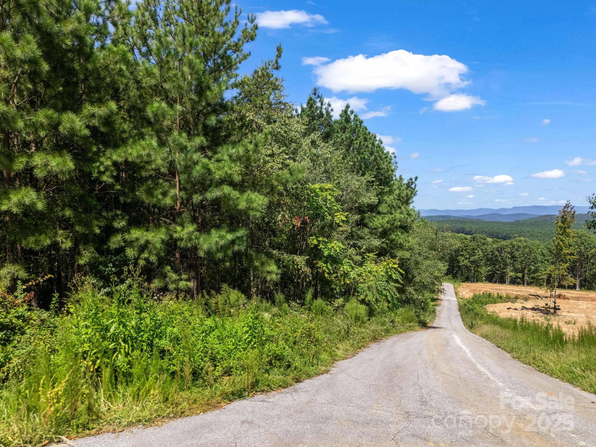 0 Moore Mountain Lane Ellenboro NC 28040