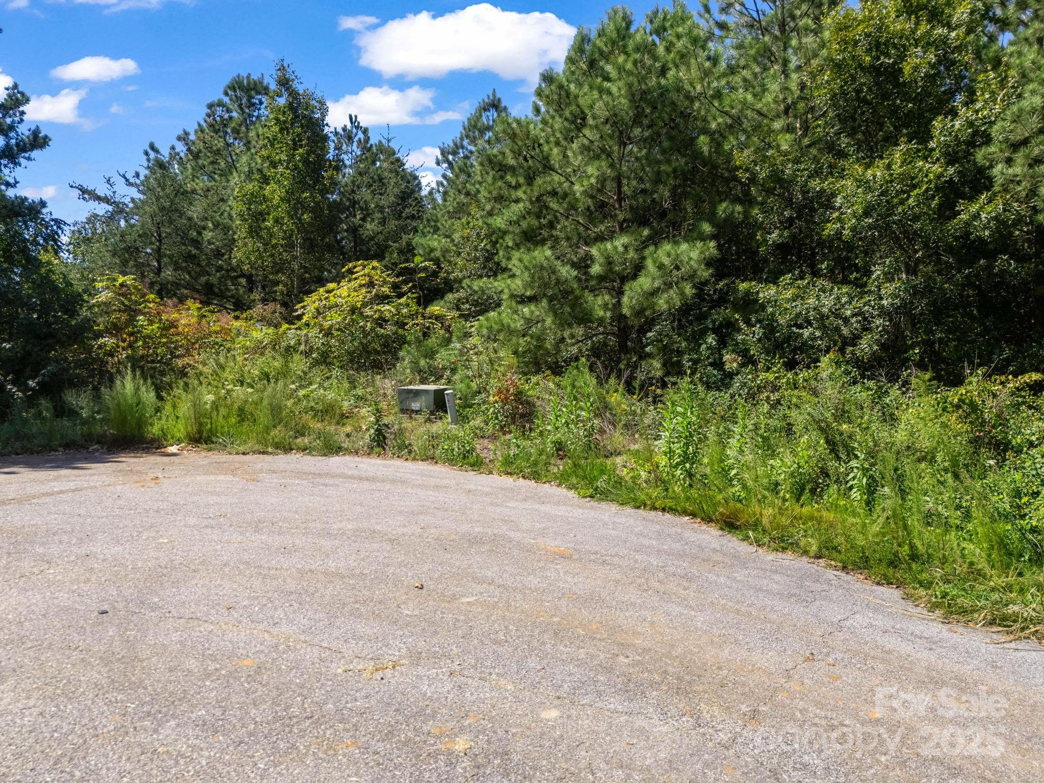 0 Moore Mountain Lane Ellenboro NC 28040