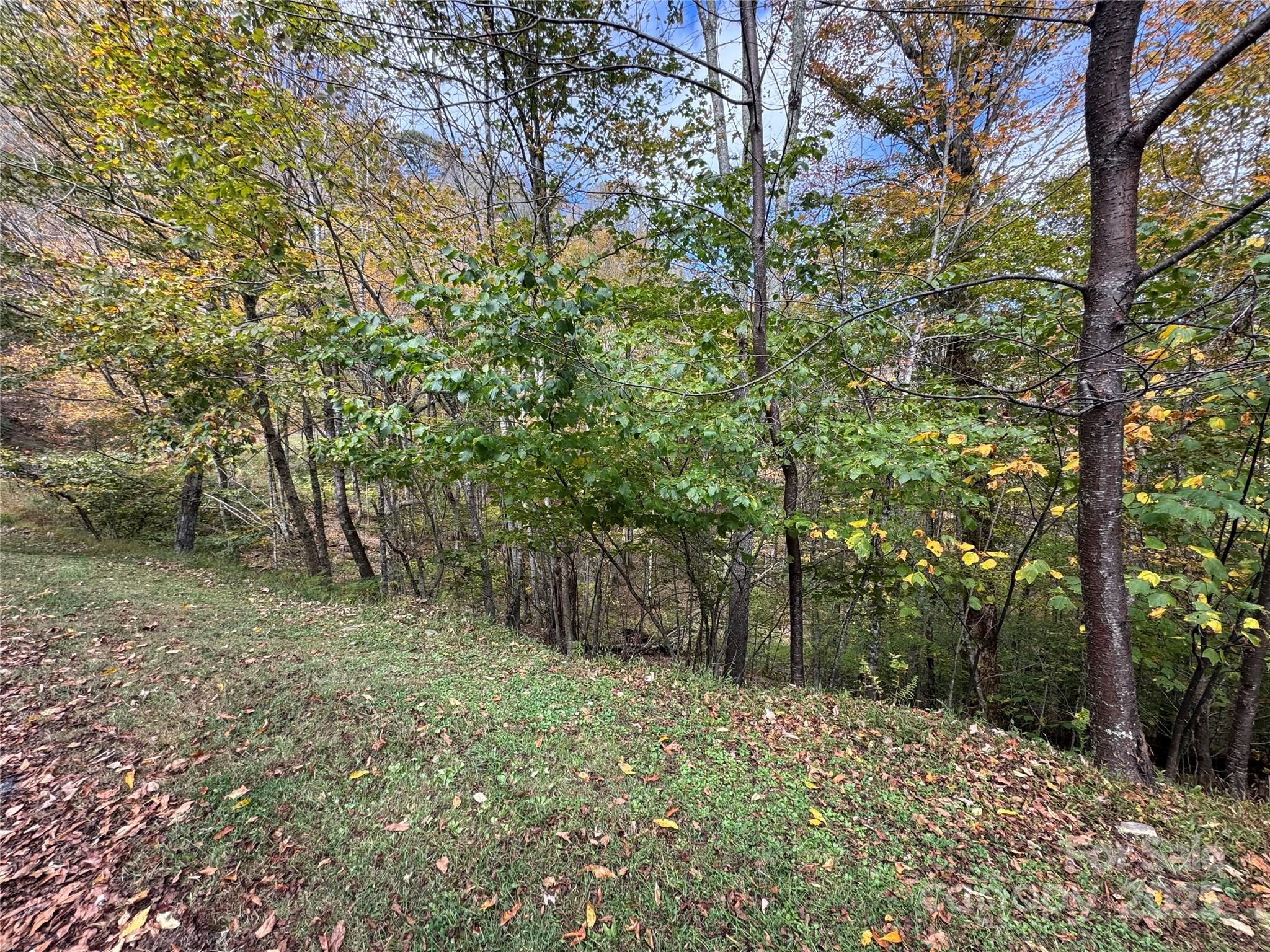 92 Goldenleaf Drive Mars Hill NC 28754