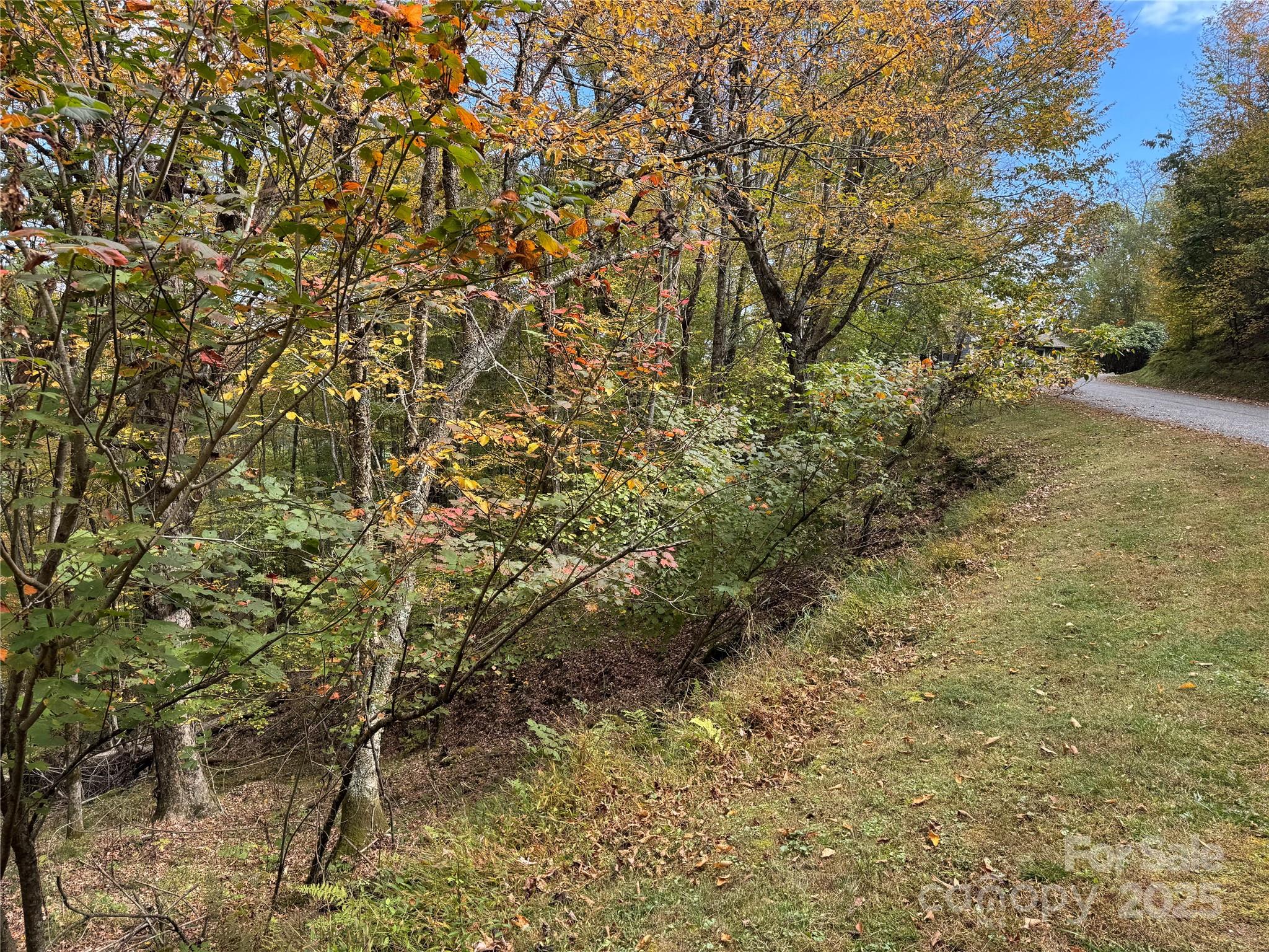 92 Goldenleaf Drive Mars Hill NC 28754