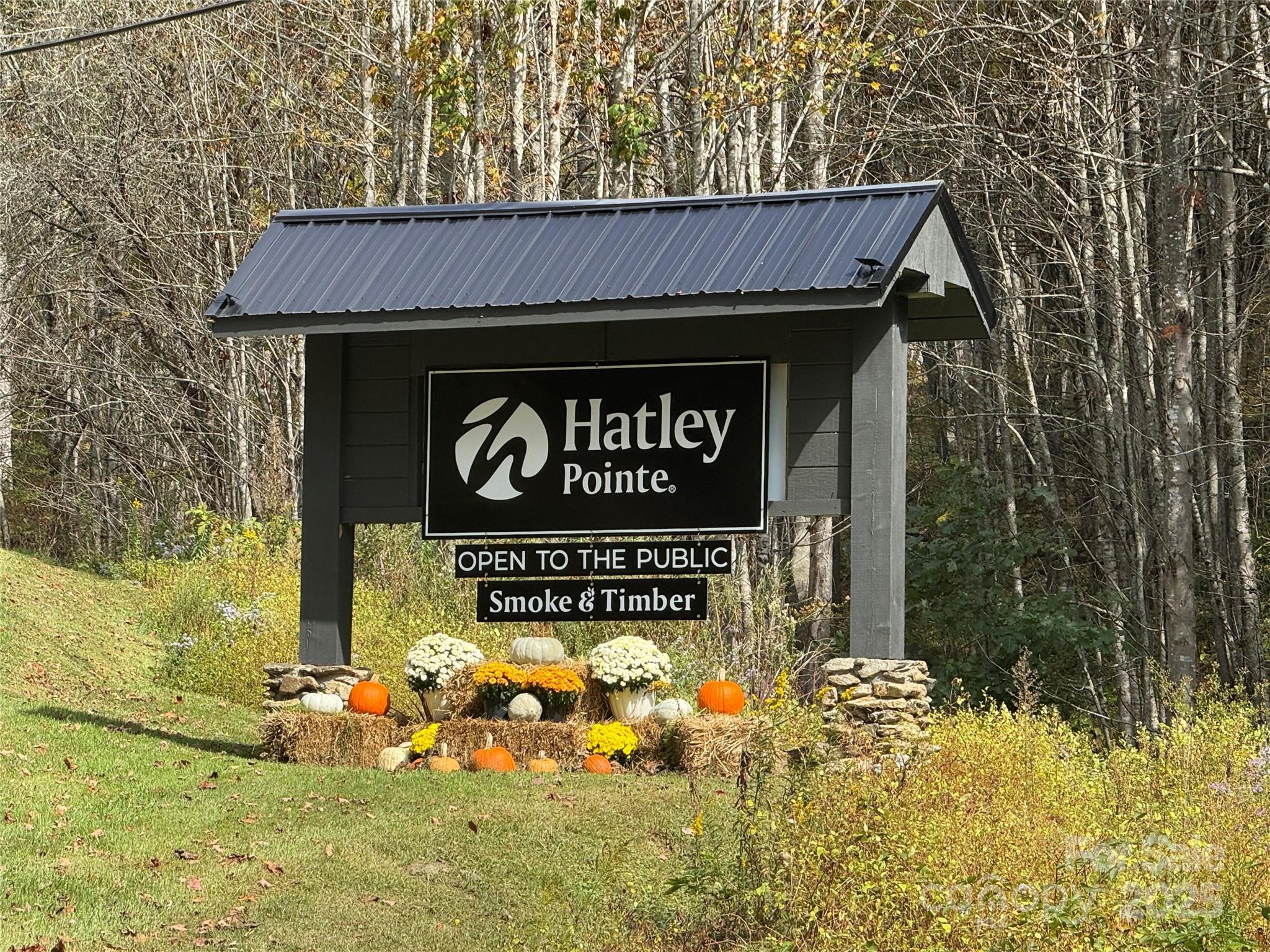 92 Goldenleaf Drive Mars Hill NC 28754