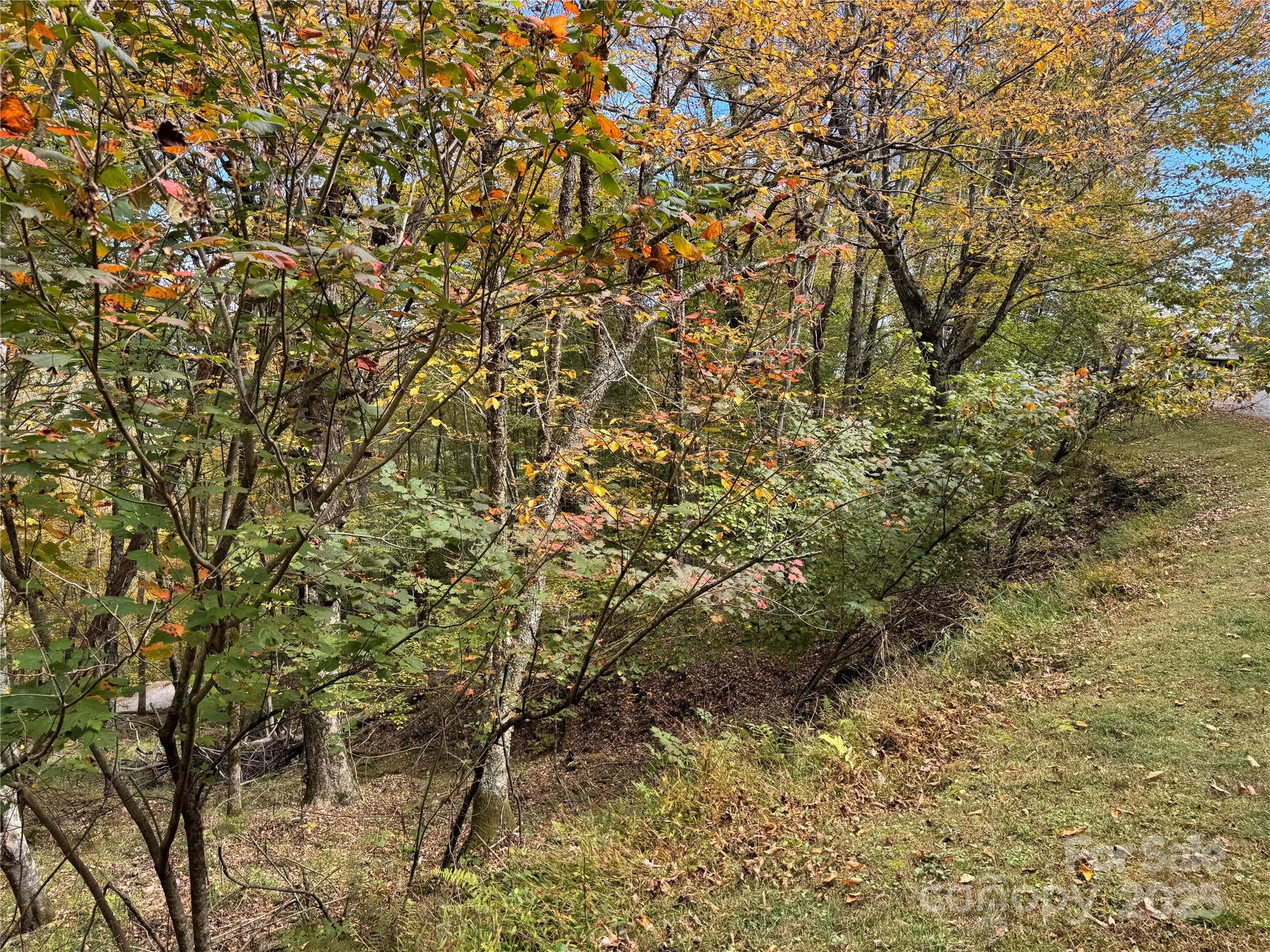 92 Goldenleaf Drive Mars Hill NC 28754