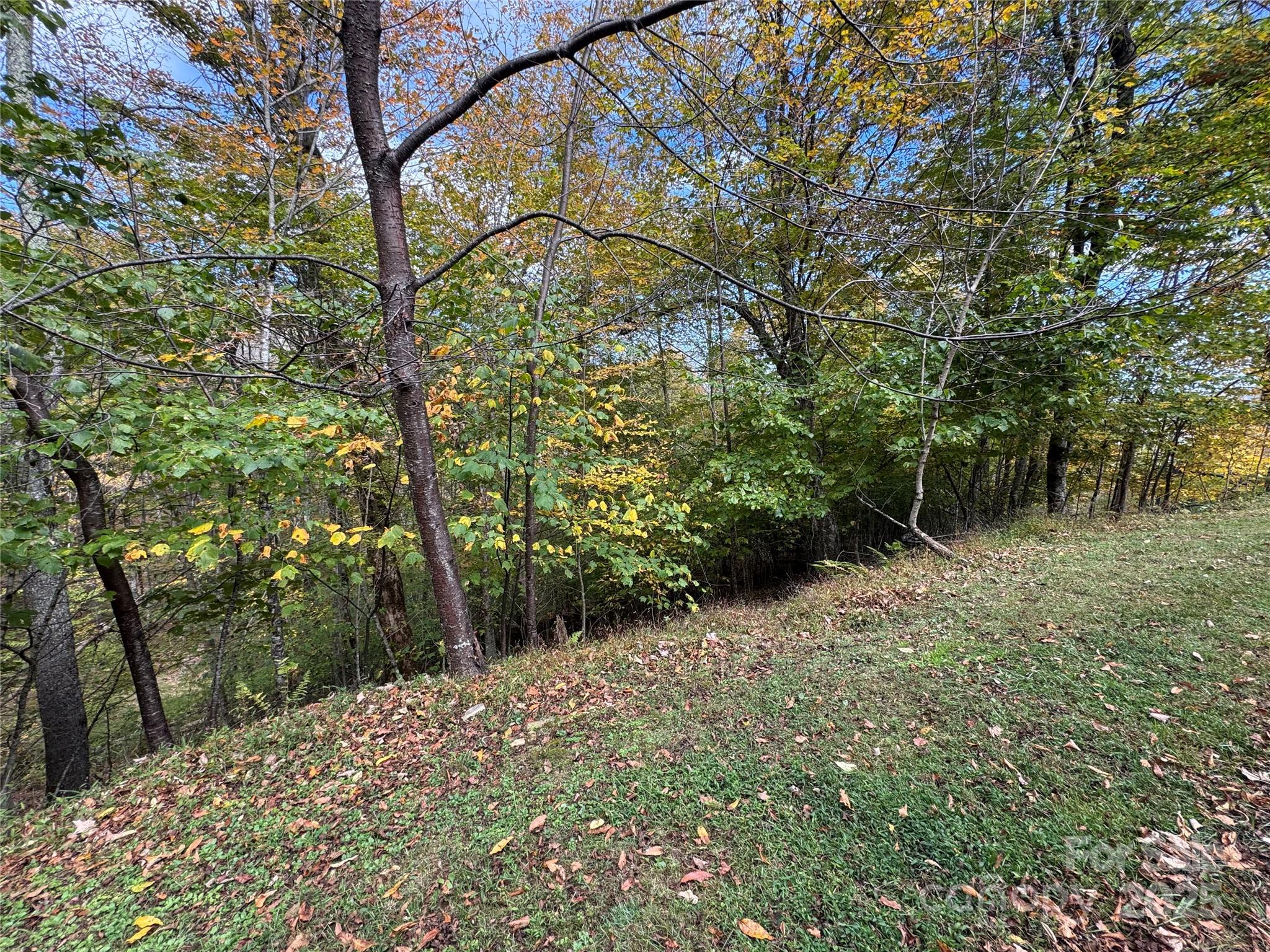 92 Goldenleaf Drive Mars Hill NC 28754
