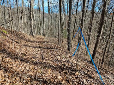 262 Si Knob Road Cullowhee NC 28723