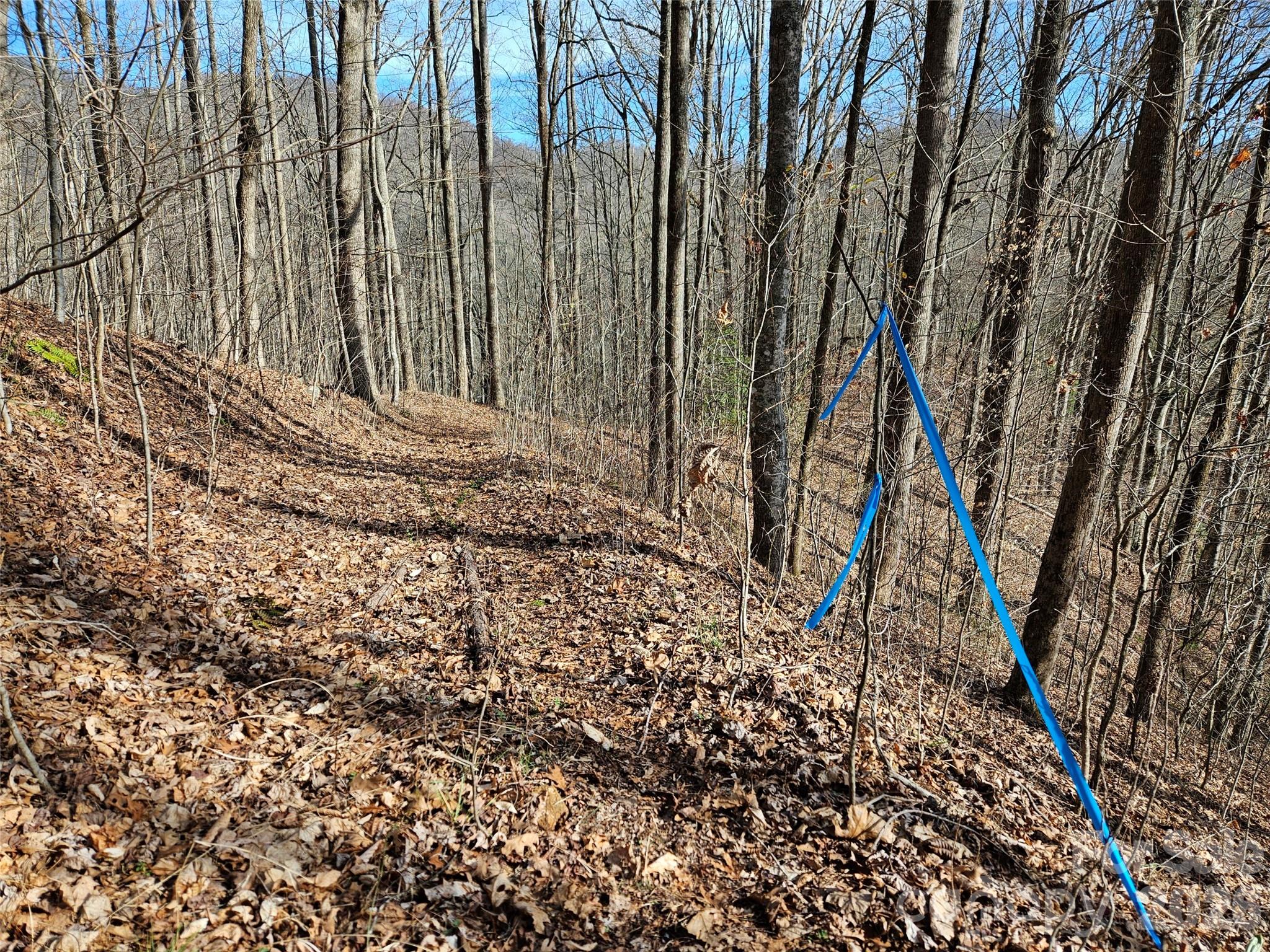 262 Si Knob Road Cullowhee NC 28723