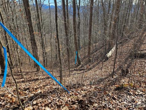 262 Si Knob Road Cullowhee NC 28723
