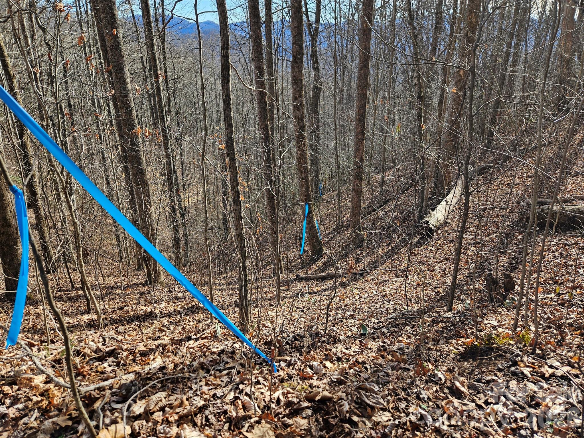 262 Si Knob Road Cullowhee NC 28723