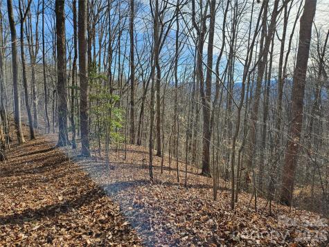 262 Si Knob Road Cullowhee NC 28723