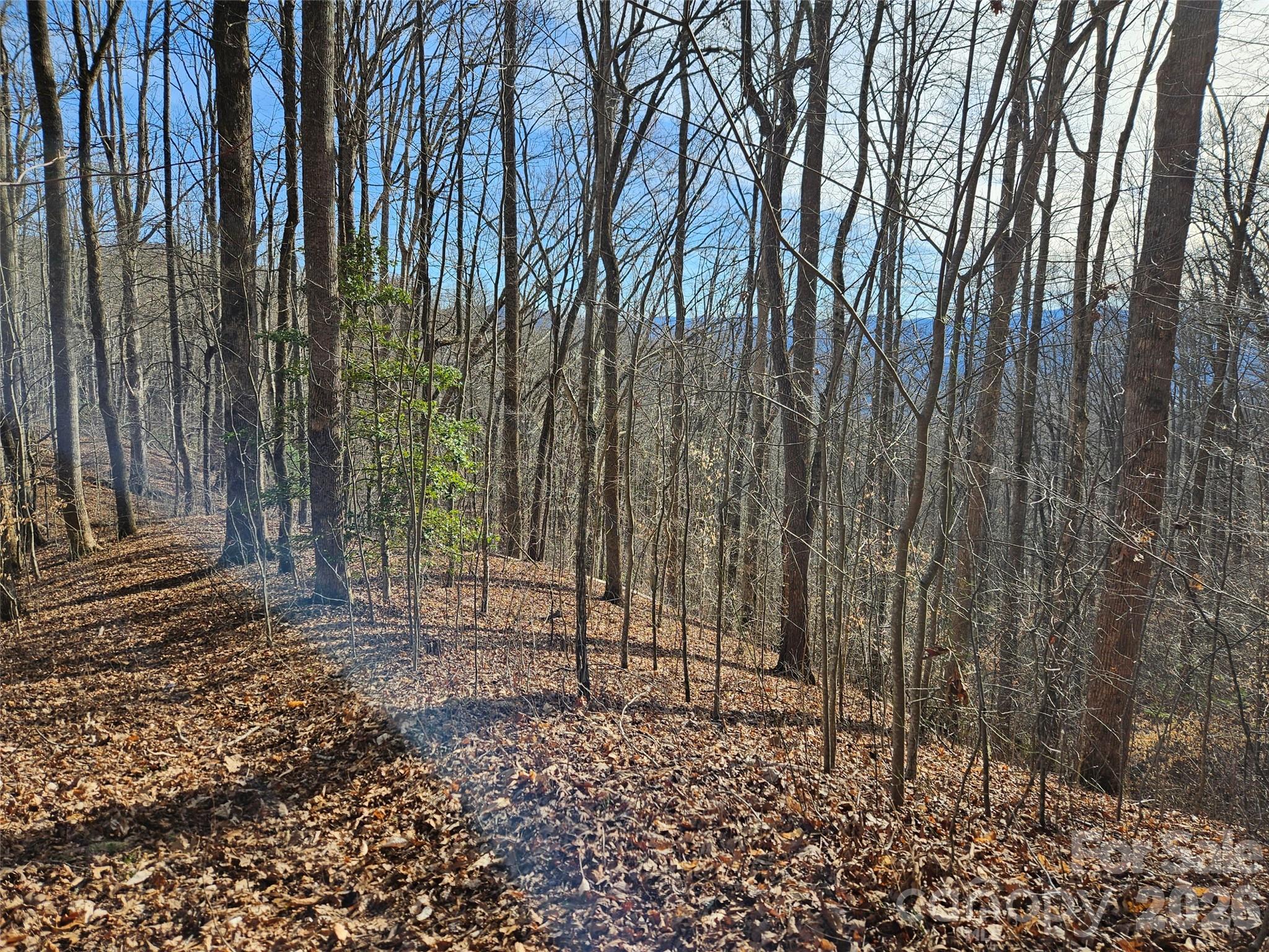 262 Si Knob Road Cullowhee NC 28723