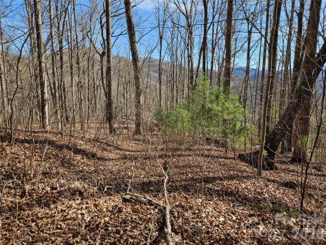 262 Si Knob Road Cullowhee NC 28723