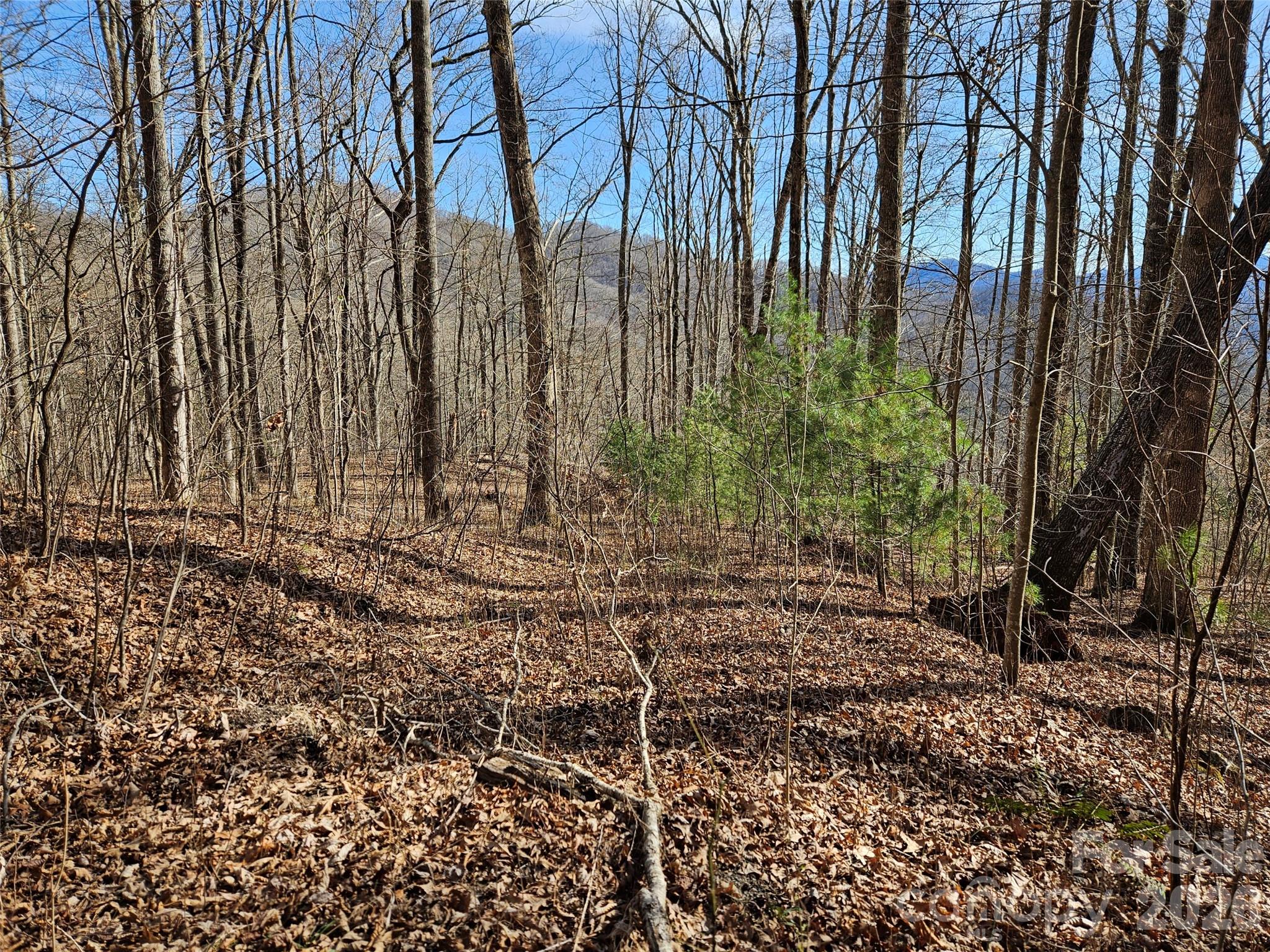 262 Si Knob Road Cullowhee NC 28723