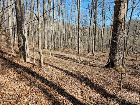 262 Si Knob Road Cullowhee NC 28723