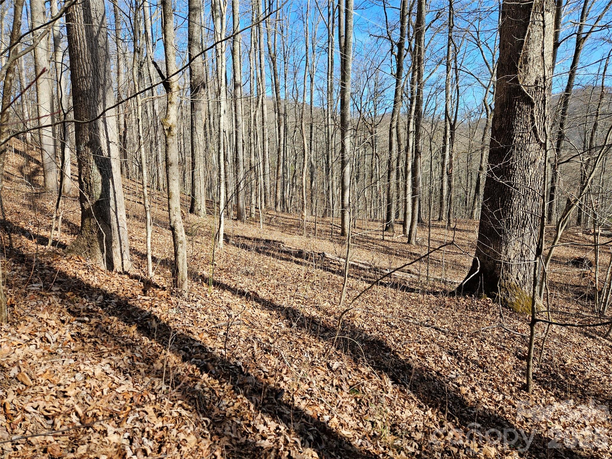 262 Si Knob Road Cullowhee NC 28723