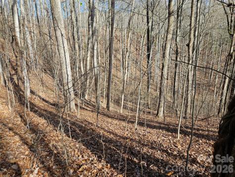 262 Si Knob Road Cullowhee NC 28723
