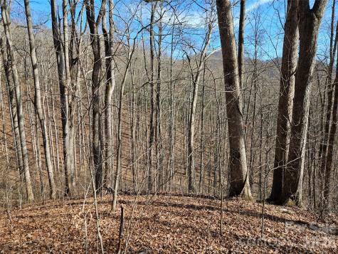 262 Si Knob Road Cullowhee NC 28723
