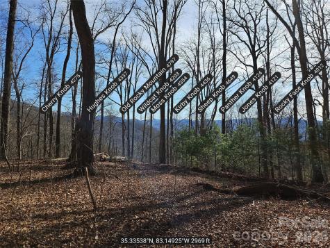 262 Si Knob Road Cullowhee NC 28723