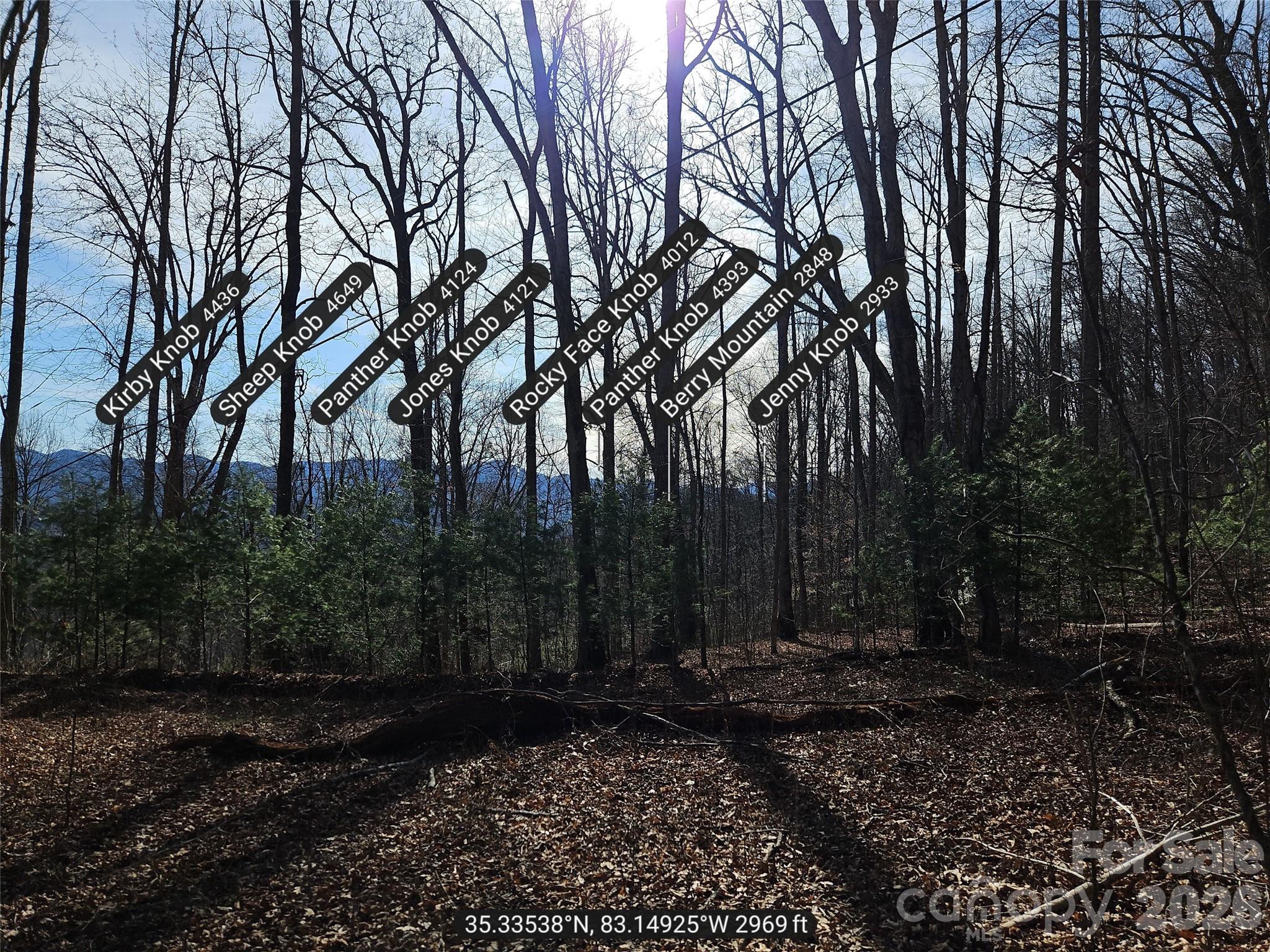 262 Si Knob Road Cullowhee NC 28723