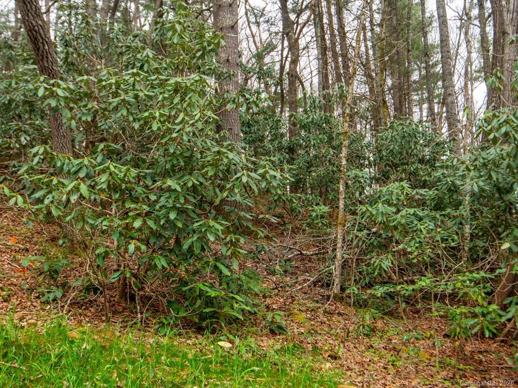 35 Wandering Oaks Way Asheville NC 28805