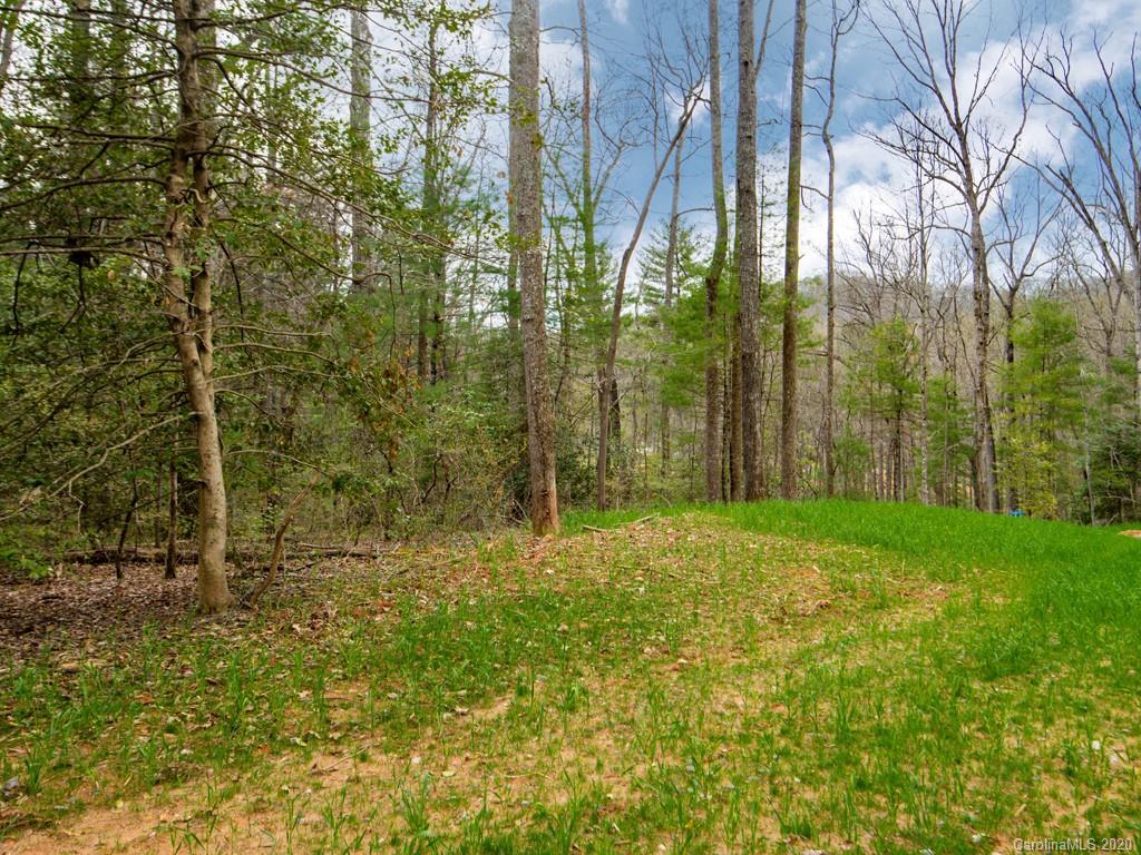 35 Wandering Oaks Way Asheville NC 28805