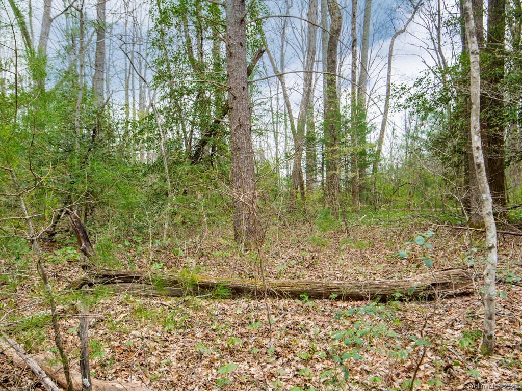 35 Wandering Oaks Way Asheville NC 28805