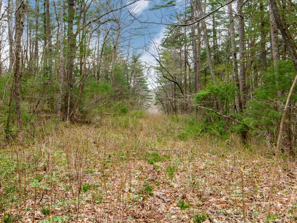 35 Wandering Oaks Way Asheville NC 28805