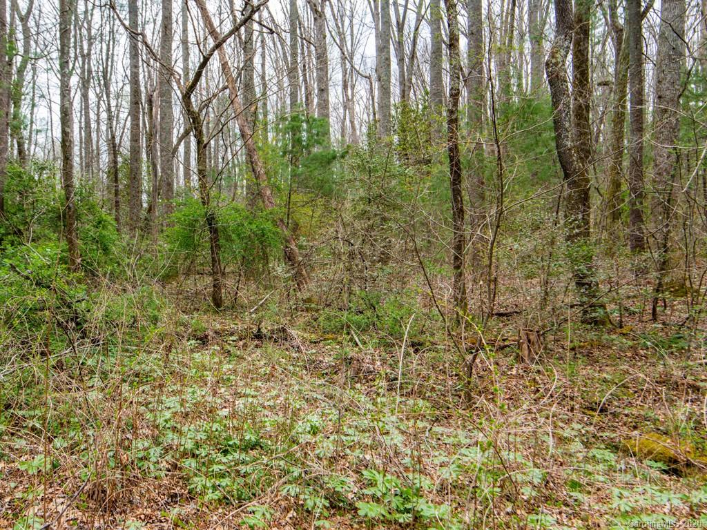 35 Wandering Oaks Way Asheville NC 28805