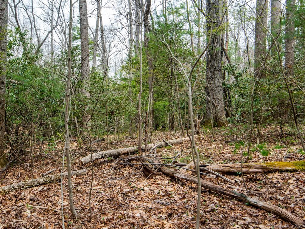 35 Wandering Oaks Way Asheville NC 28805