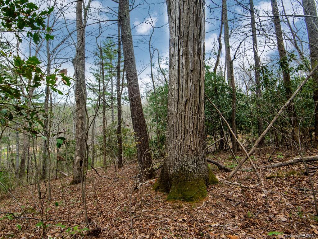 35 Wandering Oaks Way Asheville NC 28805
