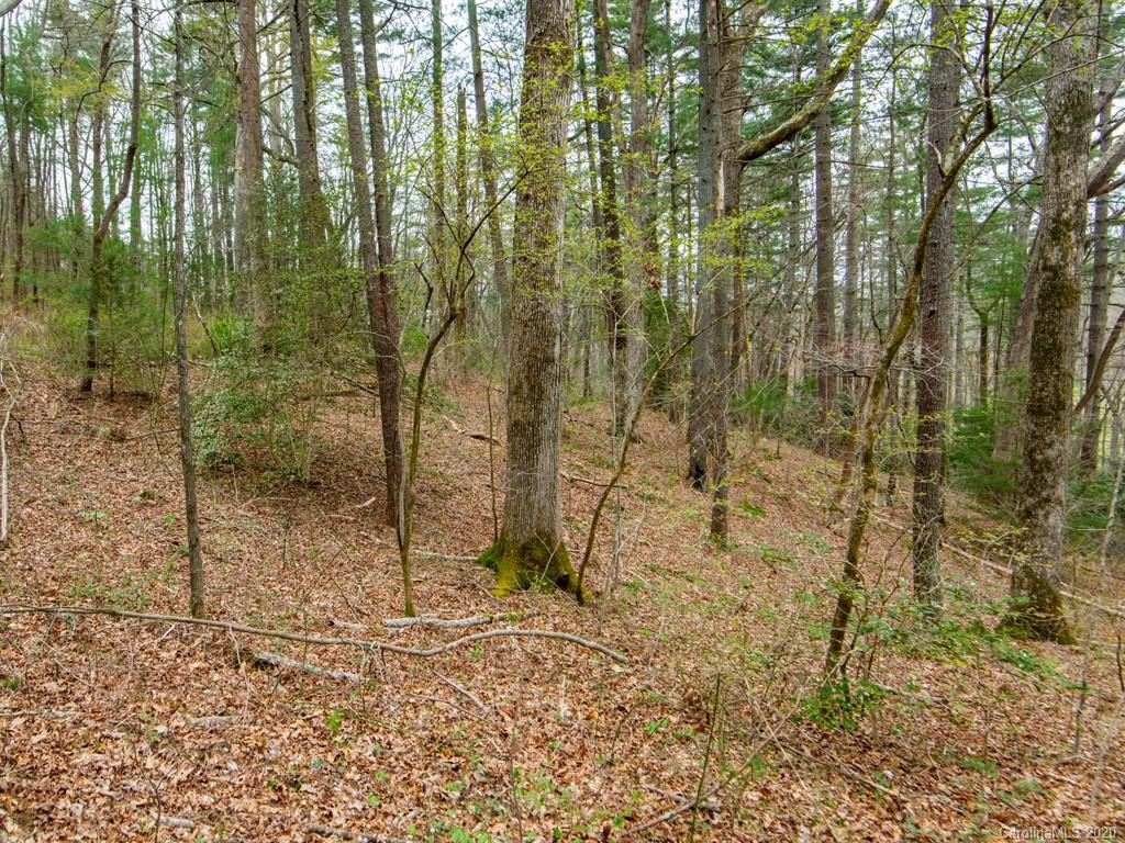 35 Wandering Oaks Way Asheville NC 28805