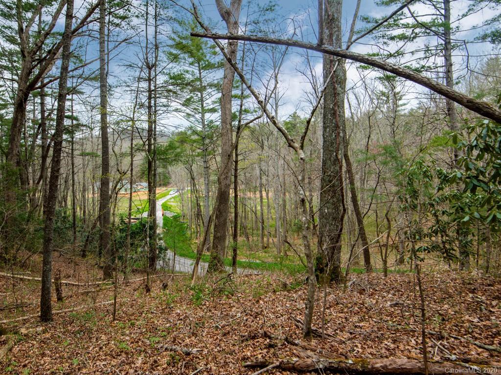 35 Wandering Oaks Way Asheville NC 28805