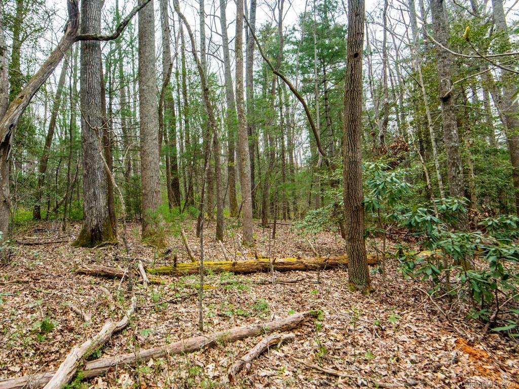 35 Wandering Oaks Way Asheville NC 28805