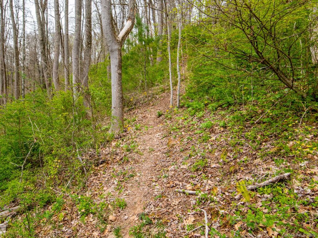 35 Wandering Oaks Way Asheville NC 28805