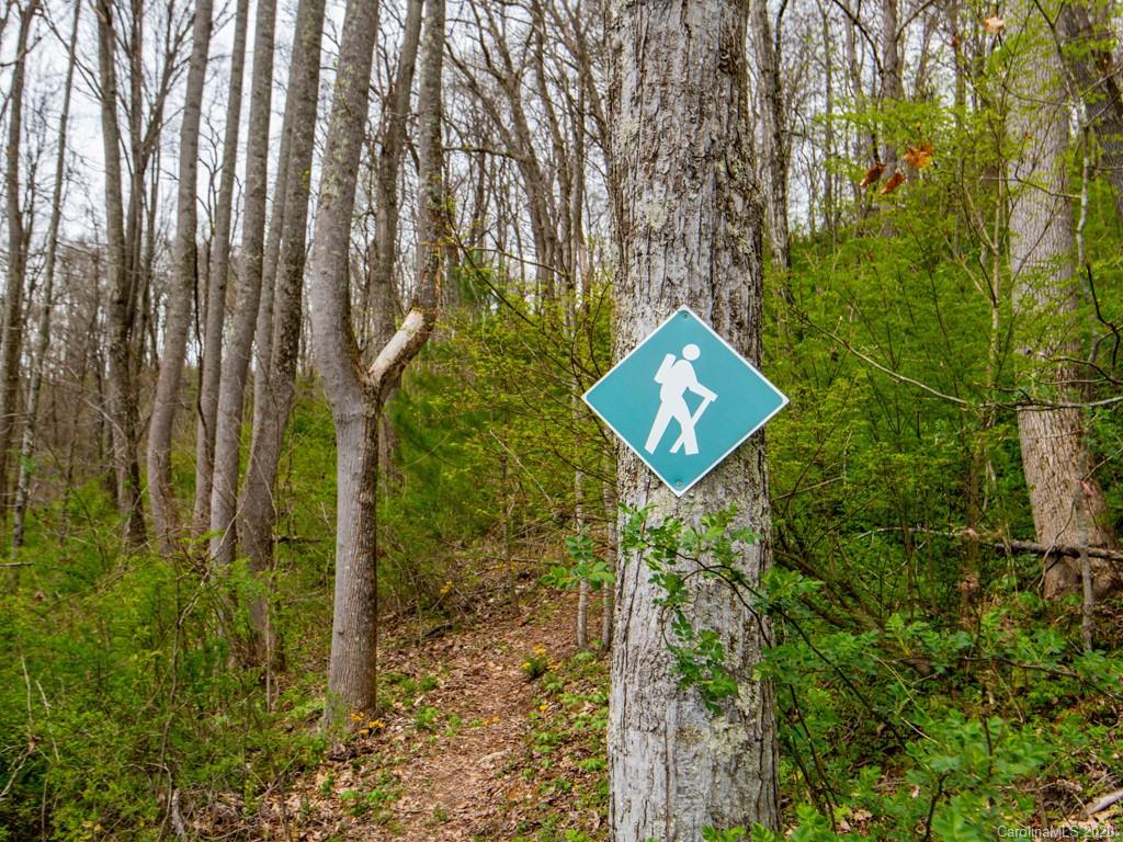 35 Wandering Oaks Way Asheville NC 28805