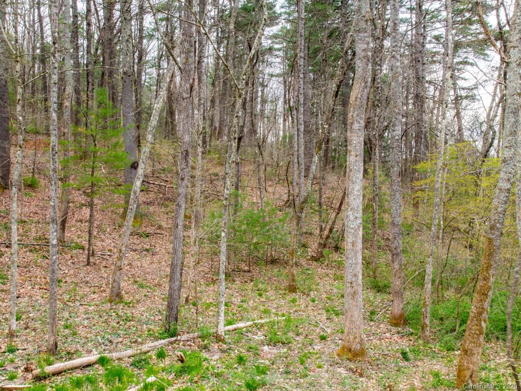 35 Wandering Oaks Way Asheville NC 28805