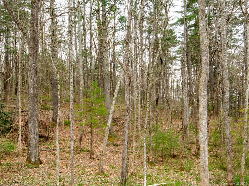 35 Wandering Oaks Way Asheville NC 28805