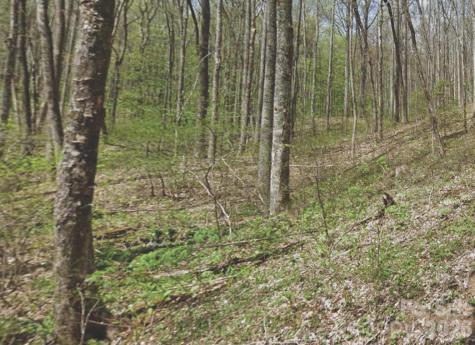 000 Heather Way Waynesville NC 28786