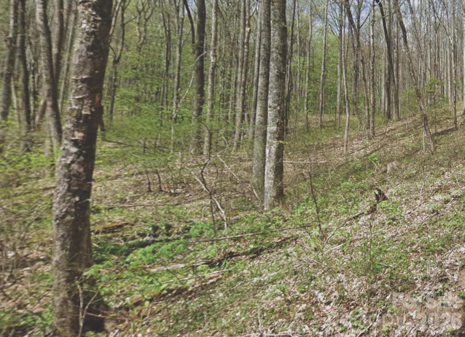 000 Heather Way Waynesville NC 28786
