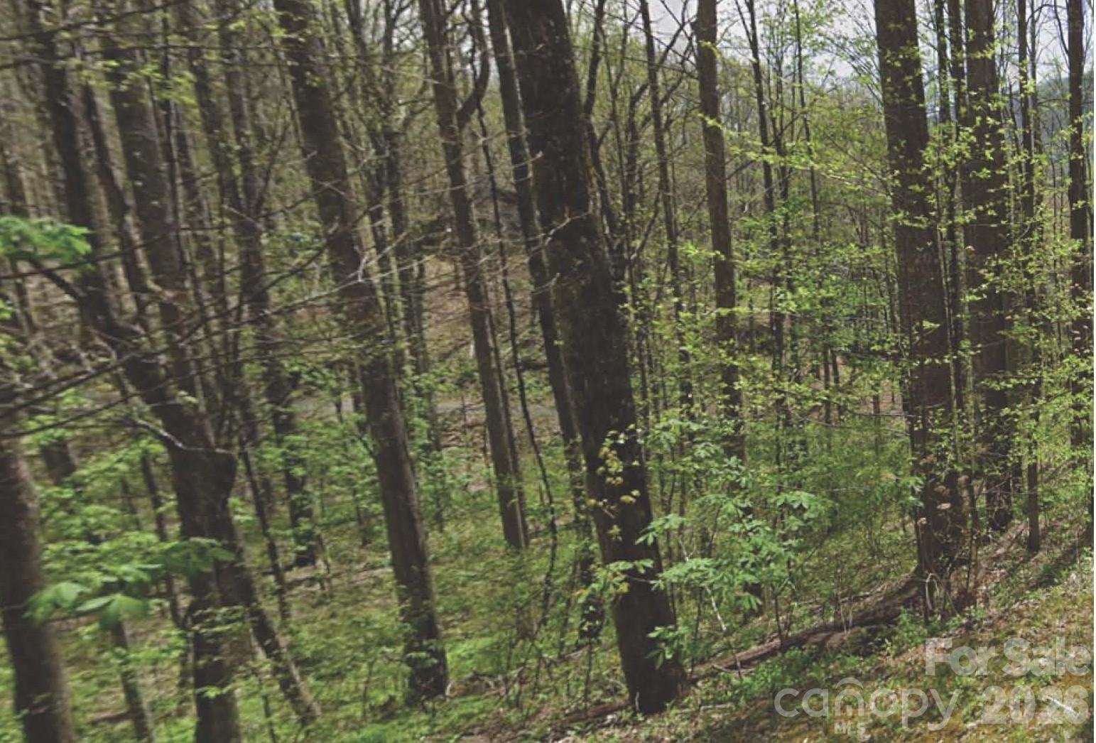 000 Heather Way Waynesville NC 28786