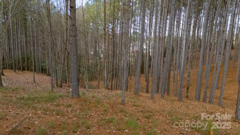 340 Gardner Point Drive Stony Point NC 28678