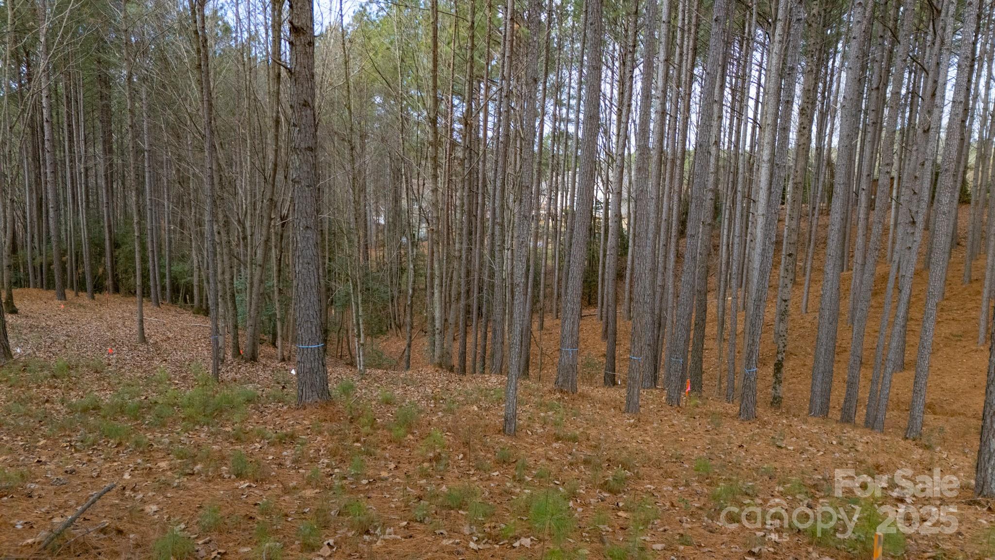 340 Gardner Point Drive Stony Point NC 28678
