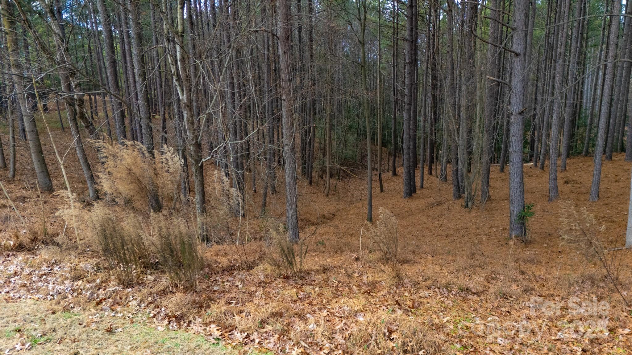 340 Gardner Point Drive Stony Point NC 28678