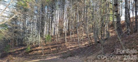 Tbd (Lots 25/26/27) Miriam Way Piney Creek NC 28663