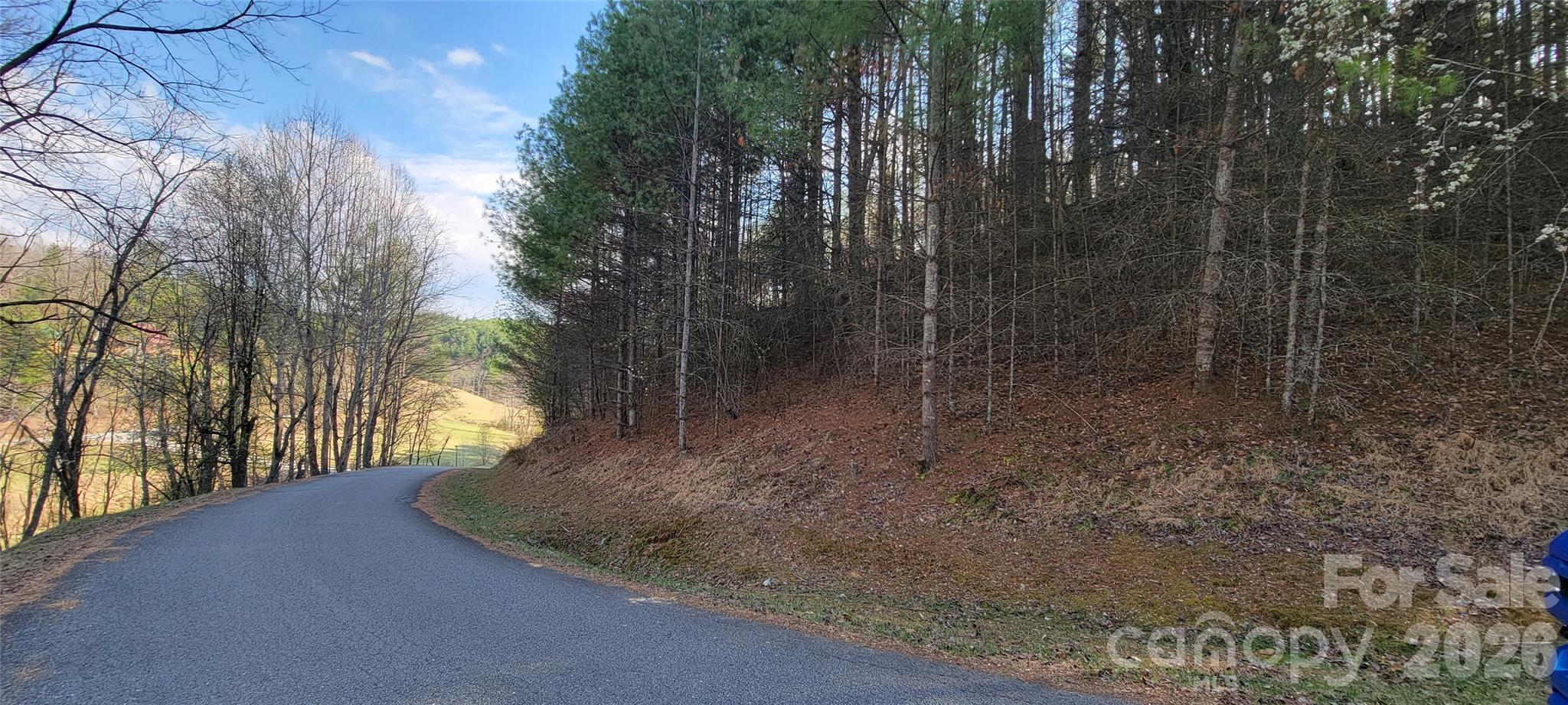 Tbd (Lots 25/26/27) Miriam Way Piney Creek NC 28663