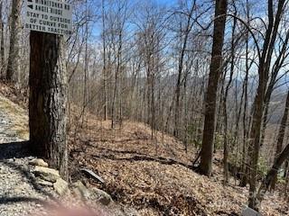 28 Angel Road Waynesville NC 28785