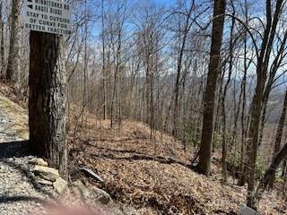 28 Angel Road Waynesville NC 28785