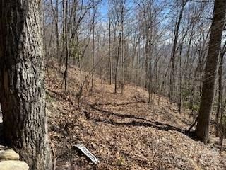 28 Angel Road Waynesville NC 28785