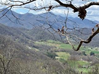 28 Angel Road Waynesville NC 28785