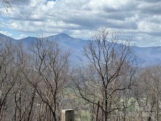 28 Angel Road Waynesville NC 28785