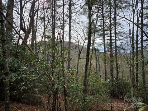 Tuckasegee NC 28783
